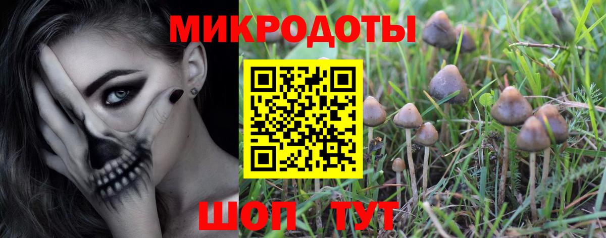 Галлюциногенные грибы прущие грибы Ростов Великий